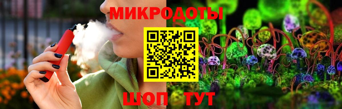 Псилоцибиновые грибы Psilocybe Зима