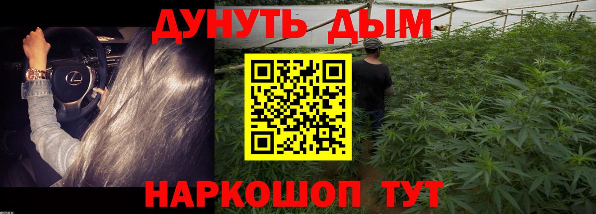 Конопля OG Kush Зима